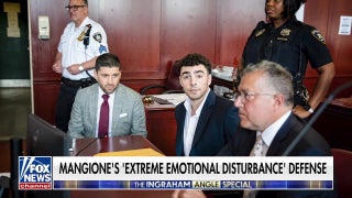 Luigi Mangione’s lawyers seek to argue ‘extreme emotional disturbance’ in alleged murder case