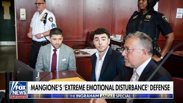 Luigi Mangione’s lawyers seek to argue ‘extreme emotional disturbance’ in alleged murder case
