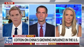 America needs to ‘protect critical assets’ from Chinese investors: Sen. Cotton