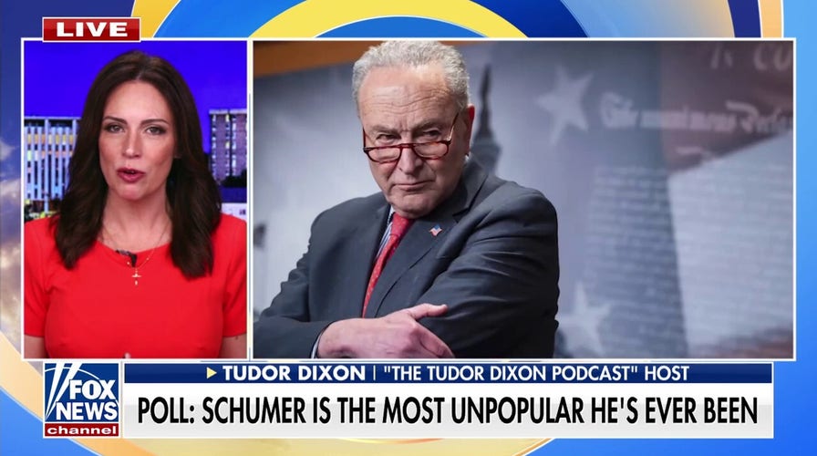 Schumer's popularity hits grounds   lows amid increasing  resignation calls