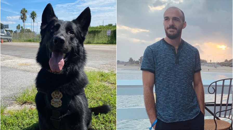 K9 search crew joins search for missing Brian Laundrie