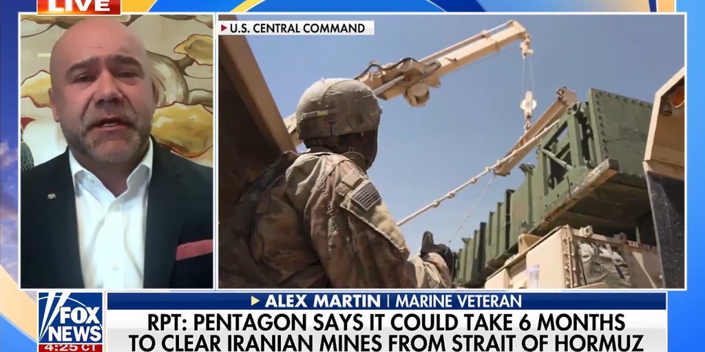 Pentagon warns of 6-month timeline to clear Iranian mines from Strait of Hormuz: report 