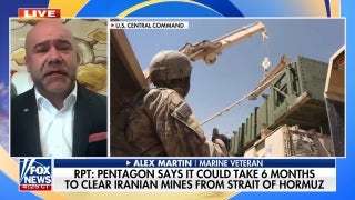 Pentagon warns of 6-month timeline to clear Iranian mines from Strait of Hormuz: report
