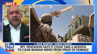 Pentagon warns of 6-month timeline to clear Iranian mines from Strait of Hormuz: report