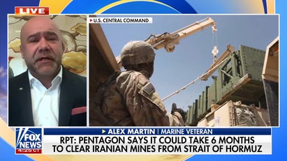 Pentagon warns of 6-month timeline to clear Iranian mines from Strait of Hormuz: report