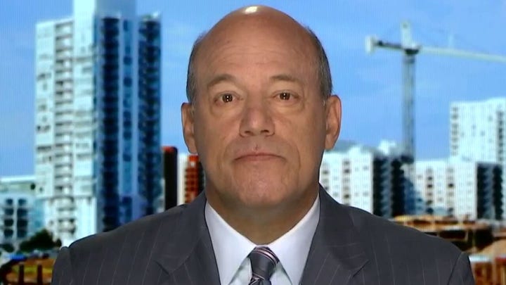 Fleischer on NY suing NRA: One of the dumbest mistakes an attorney general can make in an election year