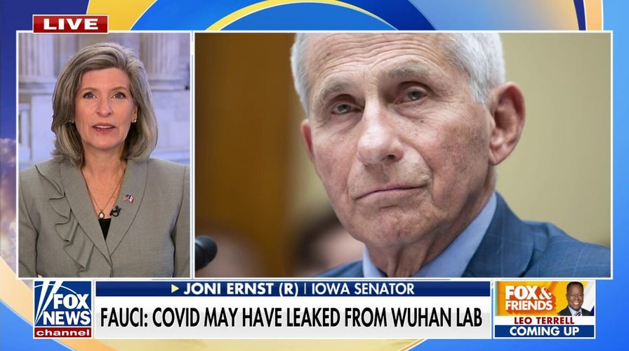 Fauci admits COVID could have leaked from Wuhan lab during congressional hearing