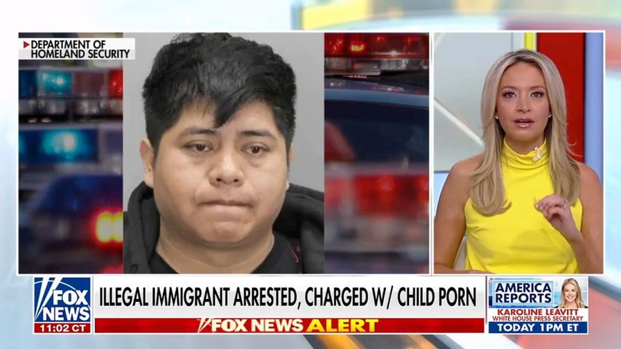 Fairfax County crime: Illegal immigrant murders, sex crimes spark policy debate