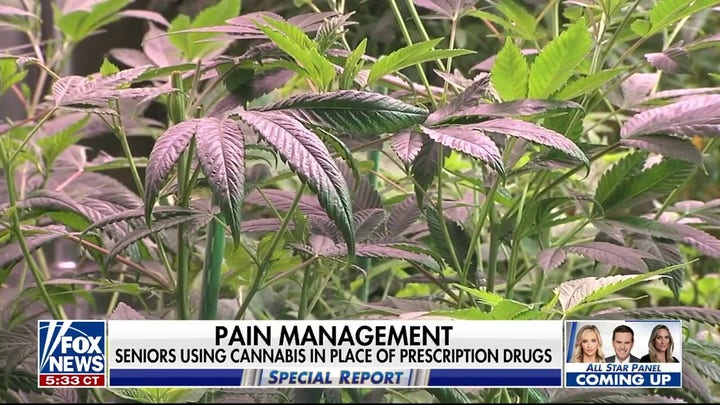 Biden admin working to classify cannabis as a drug for medical use