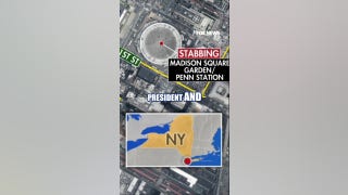 Suspect in custody after stabbing six in Penn Station