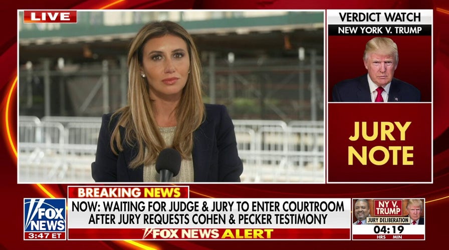 Alina Habba on Trump trial: ‘Why did we have to hit this low point?’
