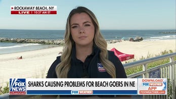 Shark sighting forces closure at Rockaway Beach