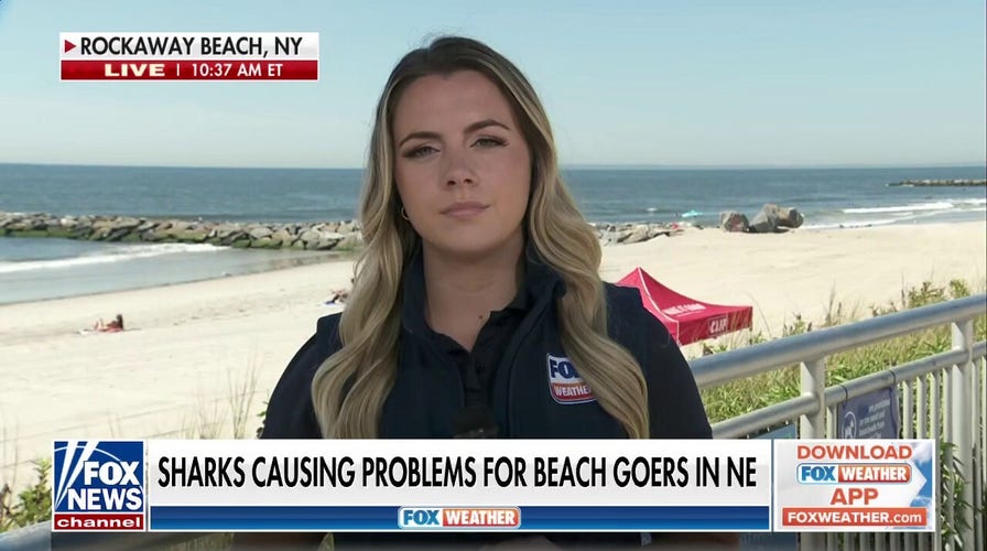 Myrtle Beach shark attacks 2 bitten on same day Fox News