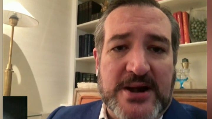 Ted Cruz: Dems predictably attacking Trump over immigration order