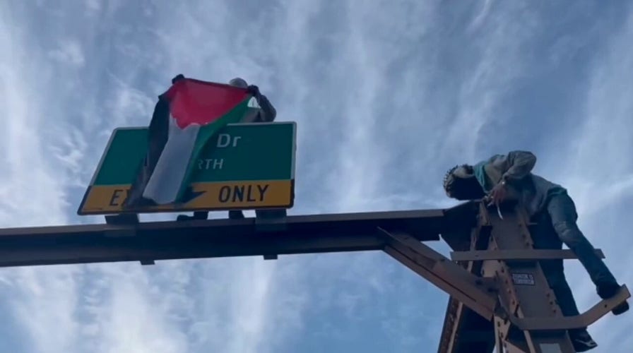 Pro-Palestinian protesters climb Brooklyn Bridge, burn Israeli flag during demonstration