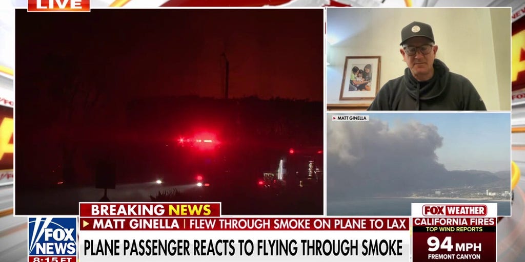 Plane passenger reacts to LA wildfires: 'This is pure devastation'.