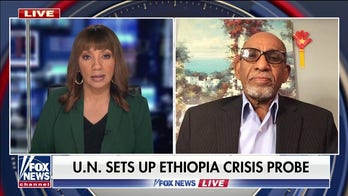 Ethiopian government misleading the world: former Ethiopian ambassador