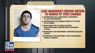 Luigi Mangione squad  pushes to person  grounds  tossed - Fox News