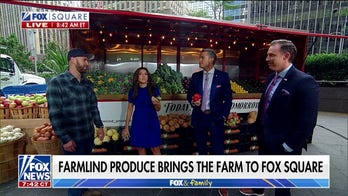 Farmlind Produce shows off its freshest fall produce