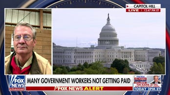 GOP lawmaker accuses Schumer of causing ‘as much pain as he can’ amid shutdown