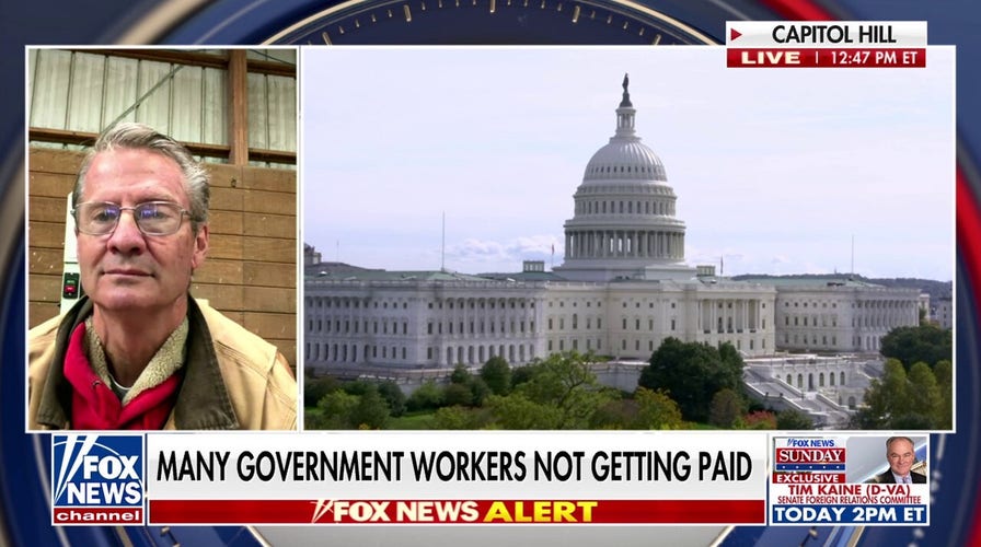 GOP lawmaker accuses Schumer of causing ‘as much pain as he can’ amid shutdown