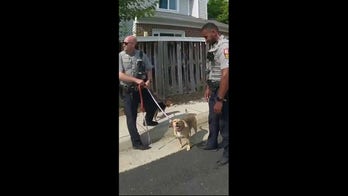 Fairfax police officer rescues three dogs from house fire