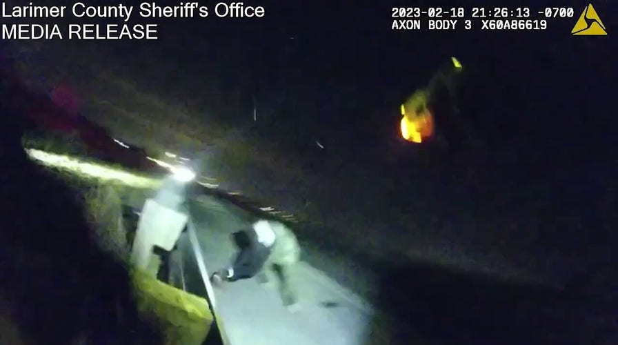 Deputy deploys Taser on suspect running across interstate