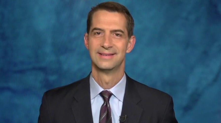 Sen. Cotton: Democrats silent on mobs because their bad policies caused it