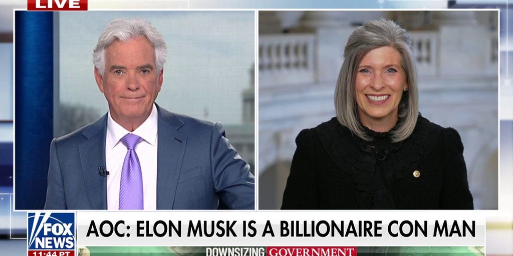 Elon Musk has the right skills and ability to weed out waste, GOP lawmaker says
