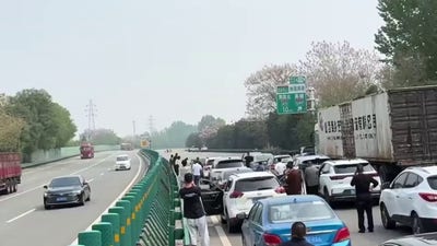 Traffic police chase runaway pig causing chaos on busy city roadway