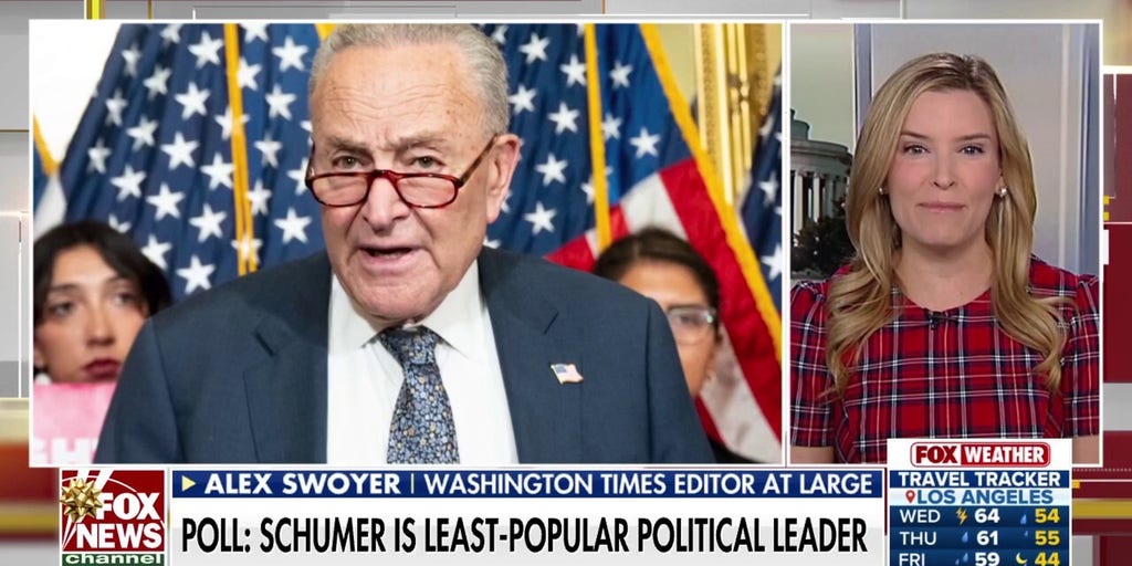 Schumer approval rate plunges as Dems debate new leadership