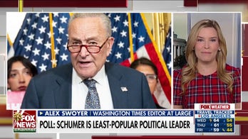 Schumer approval rate plunges as Dems debate new leadership