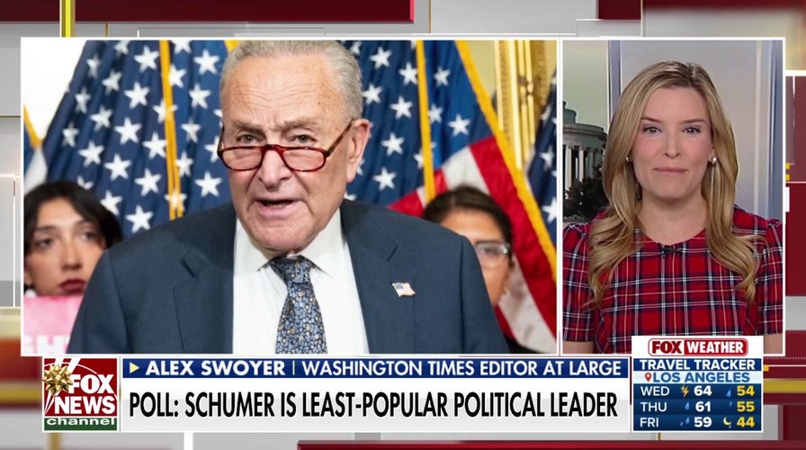Schumer approval rate plunges as Dems debate new leadership