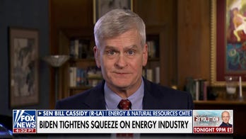 GOP lawmaker to Biden: America needs an 'operation warp-speed' on energy