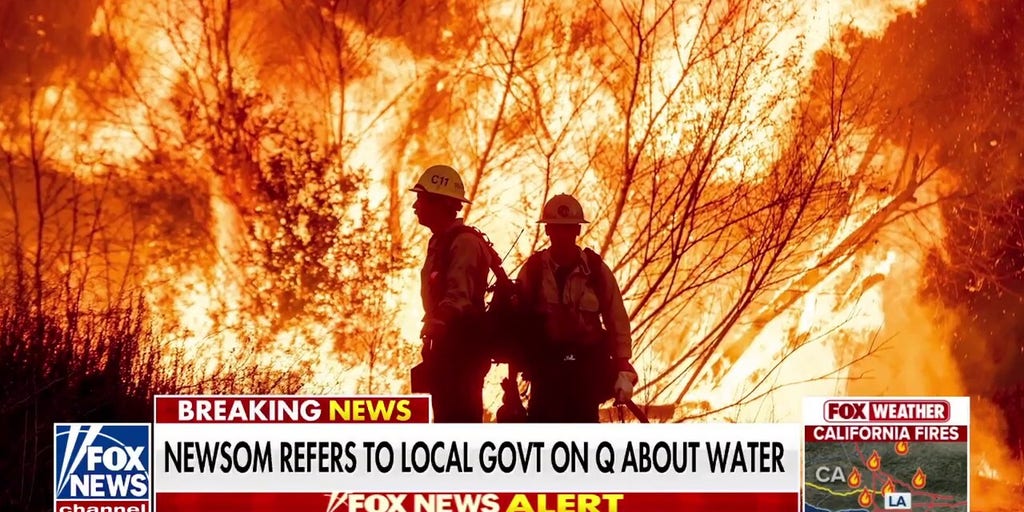Newsom shredded over wildfire response: 'This is a wake-up moment!'