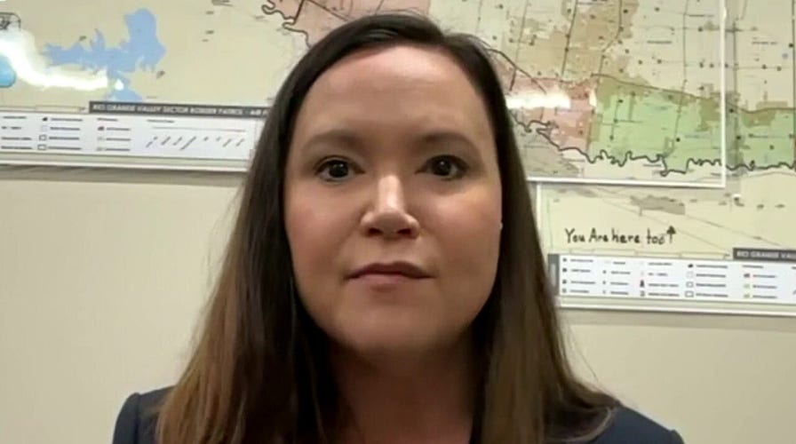 Illegal immigration ‘must be stopped’ now: Florida AG