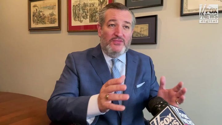 Ted Cruz says anti-Israel movement backers are also boosting opponent Colin Allred
