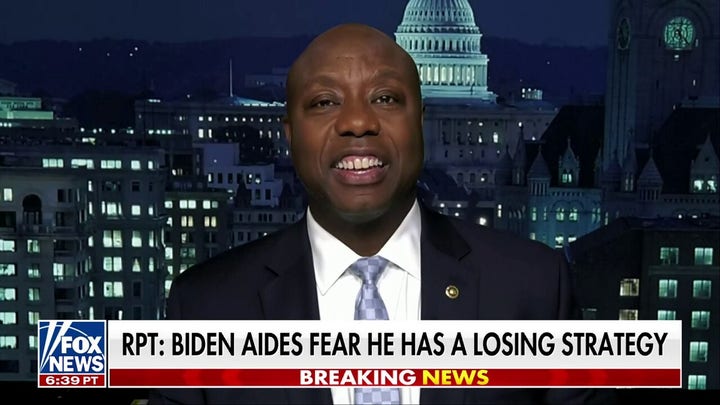 Sen Tim Scott: The Democratic Party is losing its mind because it's losing voters