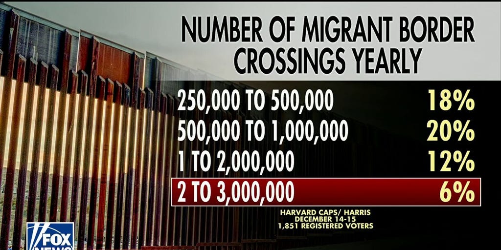 Majority Of American Voters Underestimate Yearly Border Crossings Poll Image