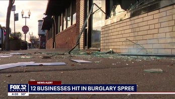 Chicago burglar throws cinder block into business, steals property