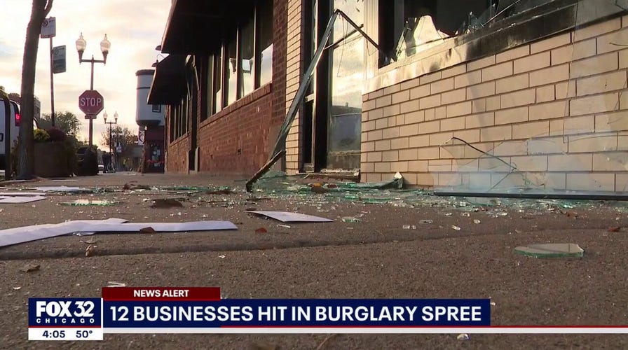 Chicago burglar throws cinder block into business, steals property