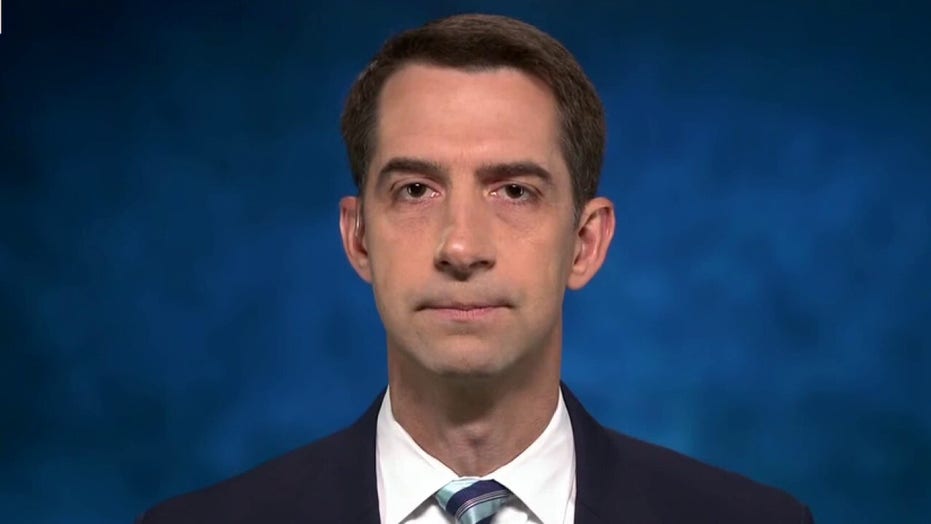 Border crisis ‘about to get a lot worse’ if Dems push ‘massive amnesty’ plan: Tom Cotton