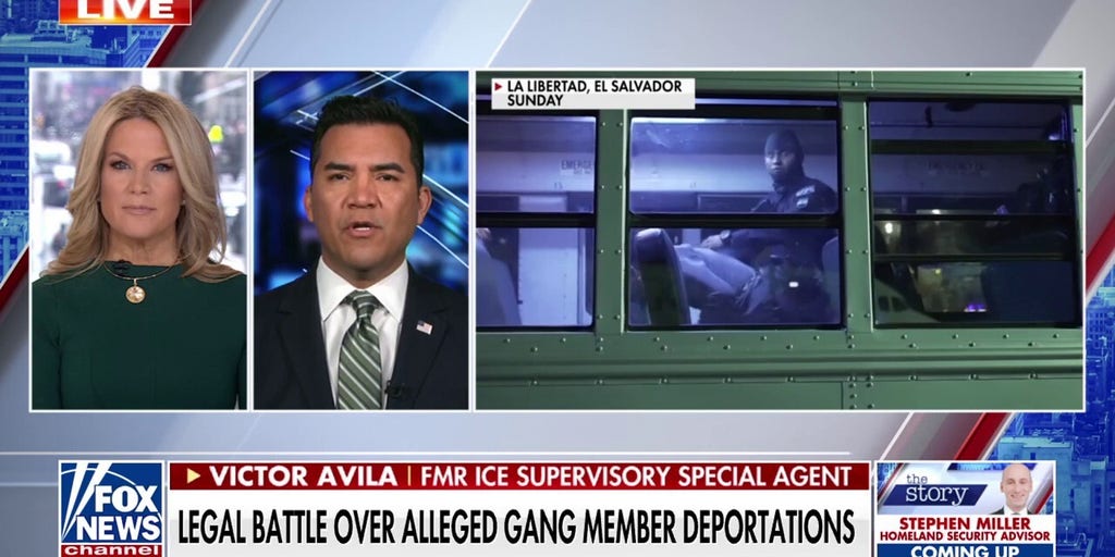 Former ICE special agent says suspected gang members are in 'every corner of our country'