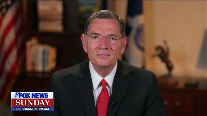 America cannot ‘shoulder the burden’ of military aid for Ukraine alone: Sen. John Barrasso
