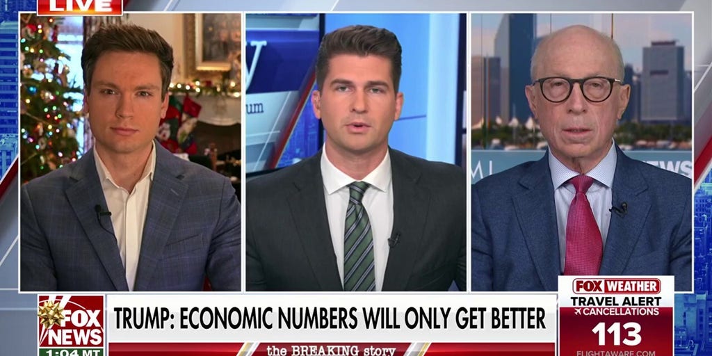 Liberal states have many more ‘problems with governance,’ says Democratic strategist