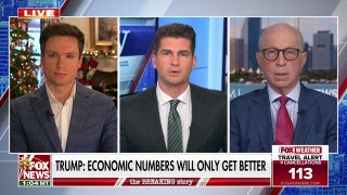 Liberal states have many more ‘problems with governance,’ says Democratic strategist