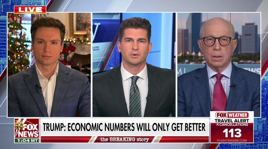 Liberal states have many more ‘problems with governance,’ says Democratic strategist