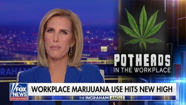 Workplace marijuana use hits new high as schools drop drug tests for new hires