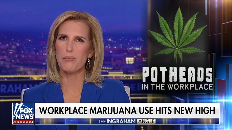 Workplace marijuana use hits new high as schools drop drug tests for new hires