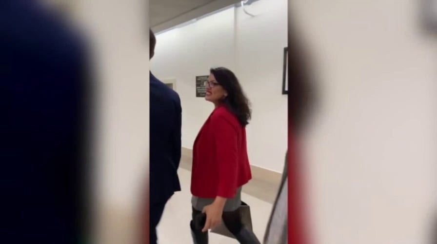 Rep. Tlaib loses it when asked in 2019 whether Israel has right to exist